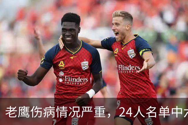 老鹰伤病情况严重，24人名单中六人缺席训练